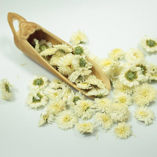 organic White chrysanthemum flower