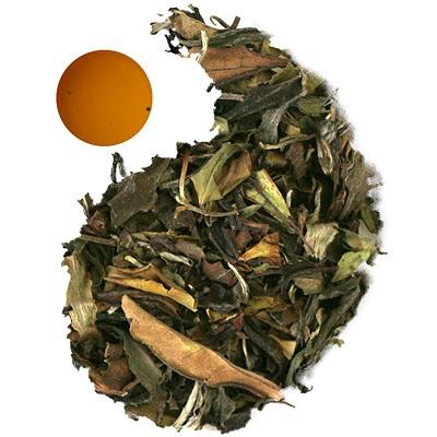 white Bai Mudan tea