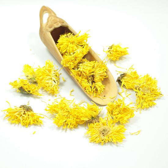 organic Golden chrysanthemum flower